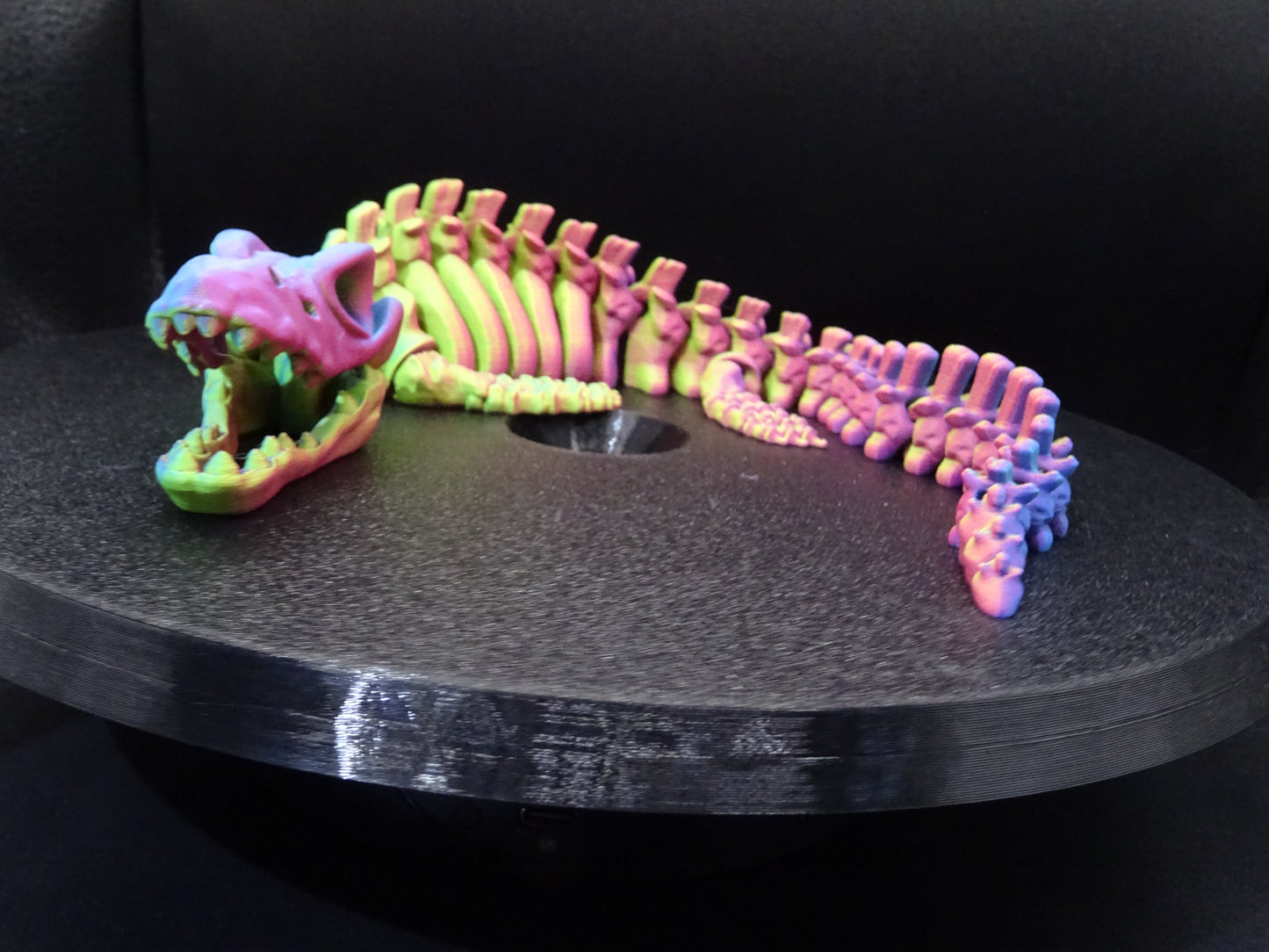 Skeleton Mosasaurus 3D Printed Articulating Flexi Fidget display collection
