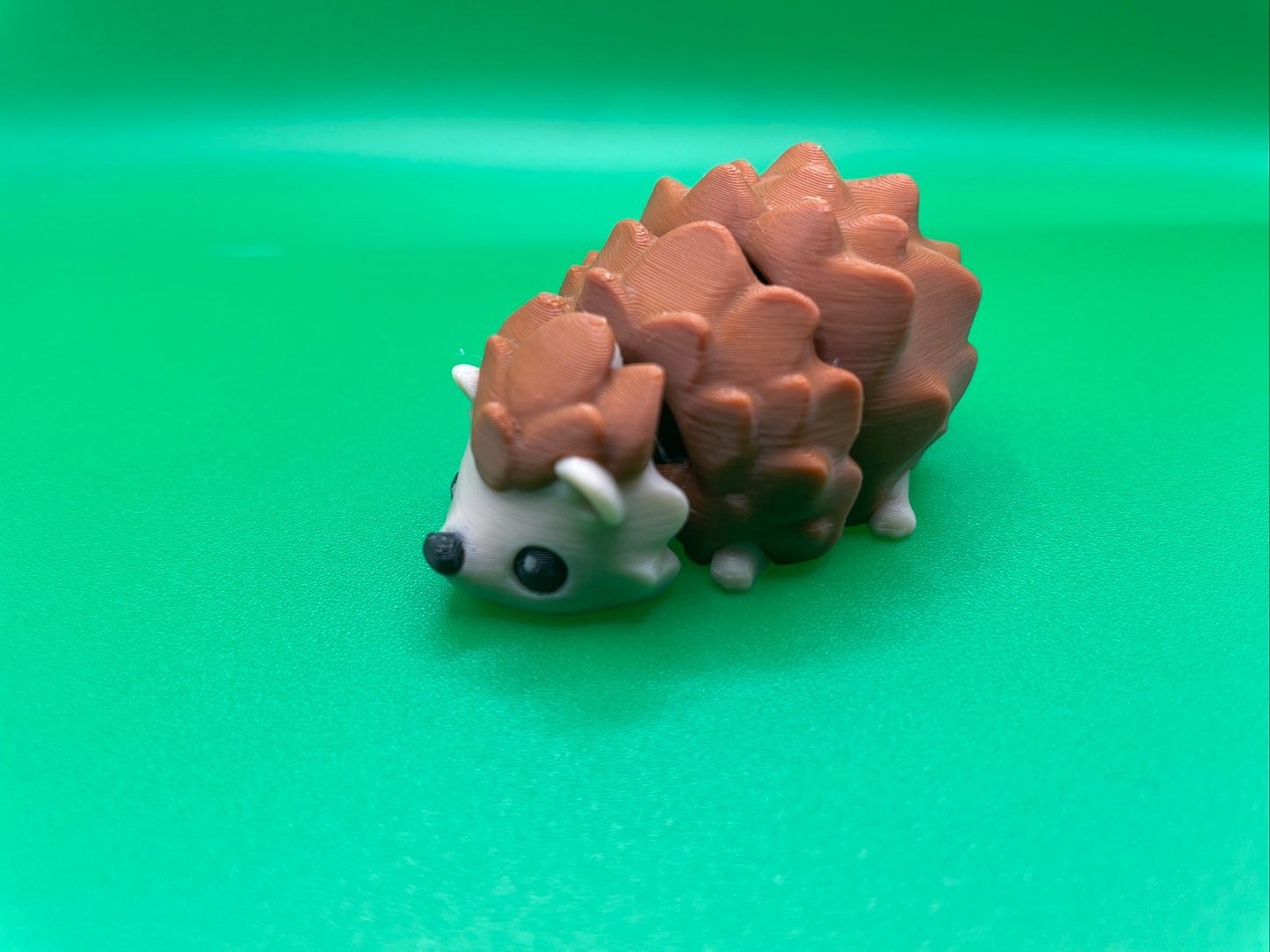 Baby Hedgehog