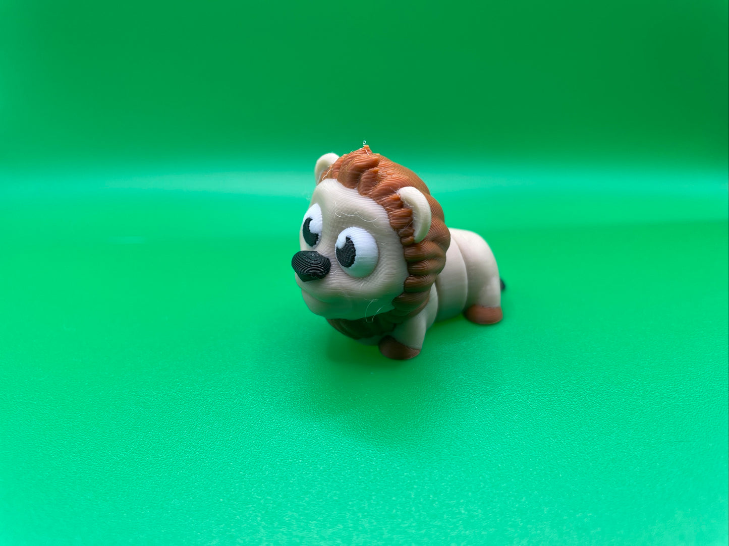 Baby Lion