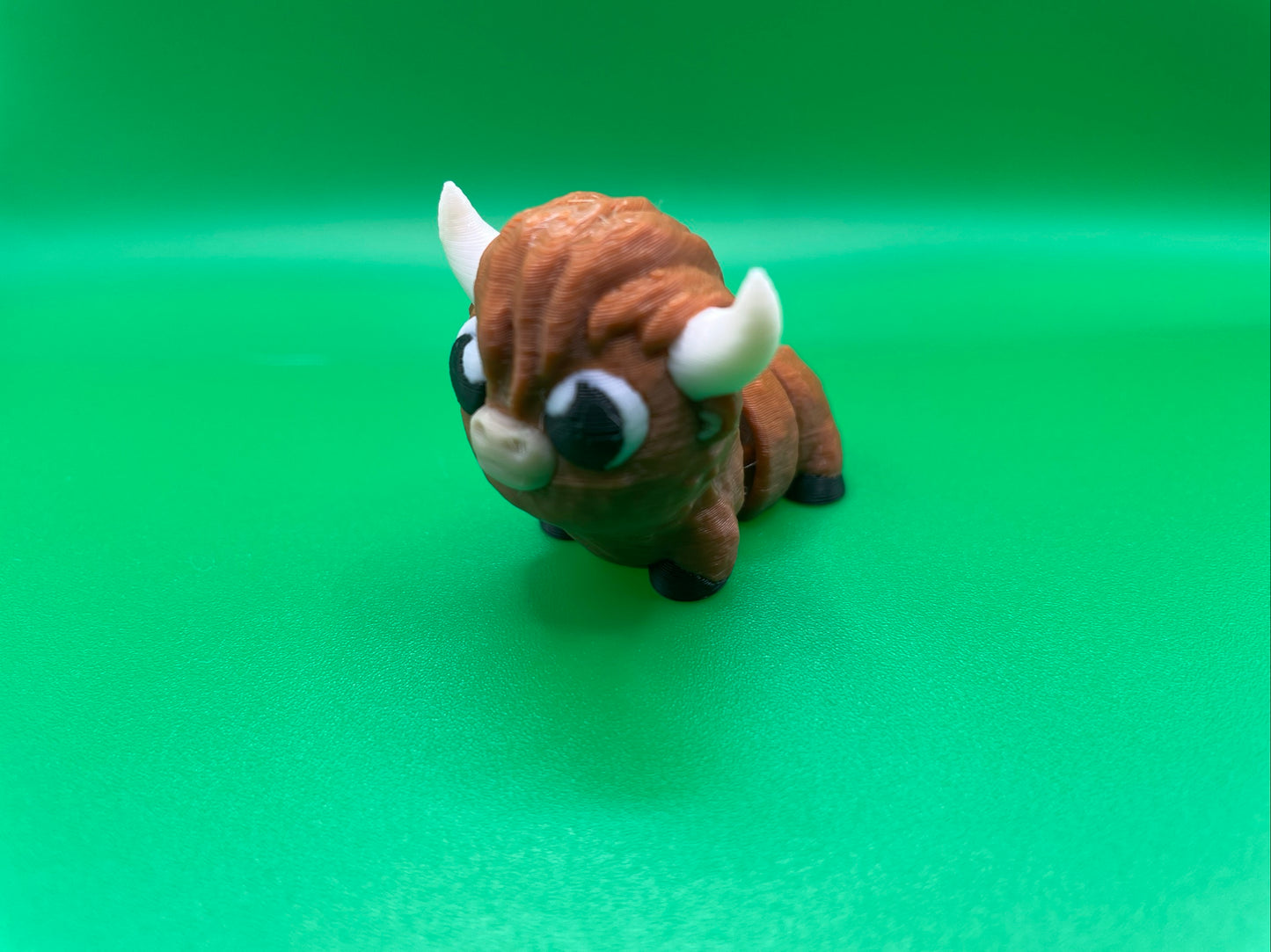 Baby Highland Cow