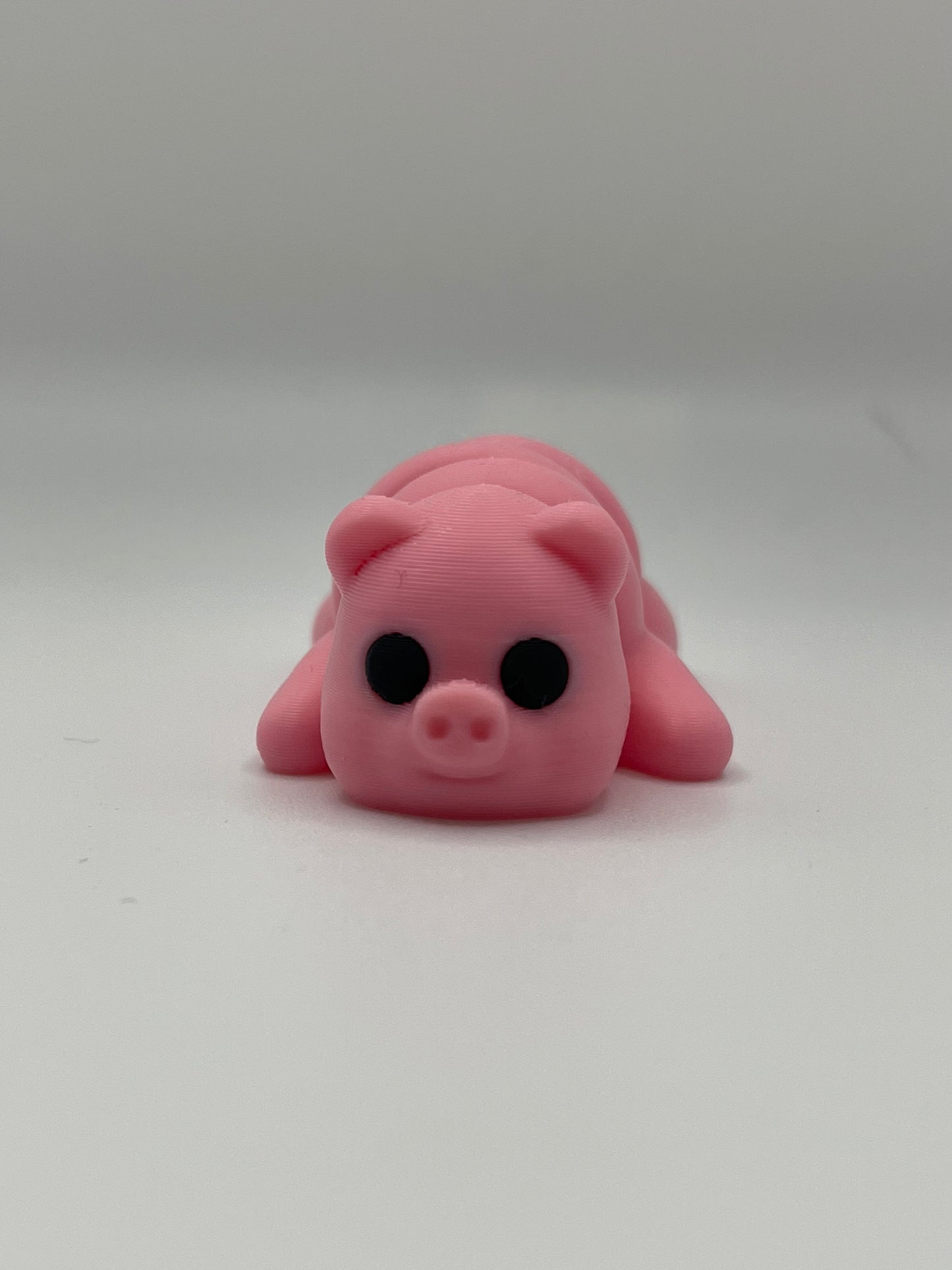 Baby Pig