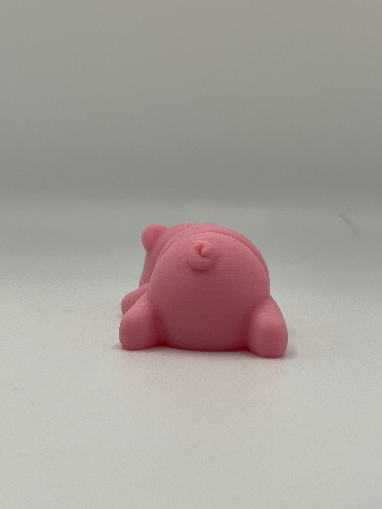 Baby Pig
