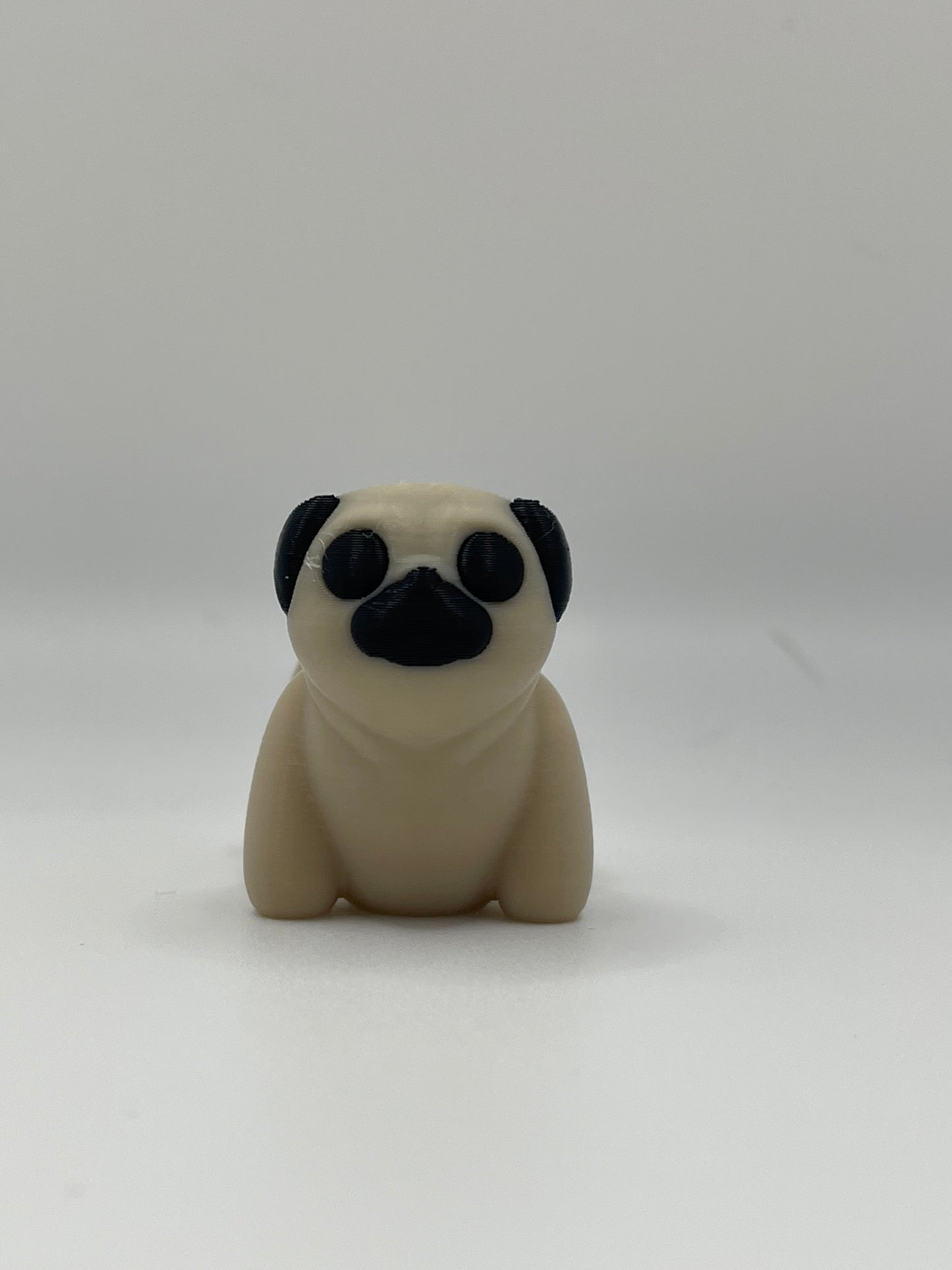 Baby Pug