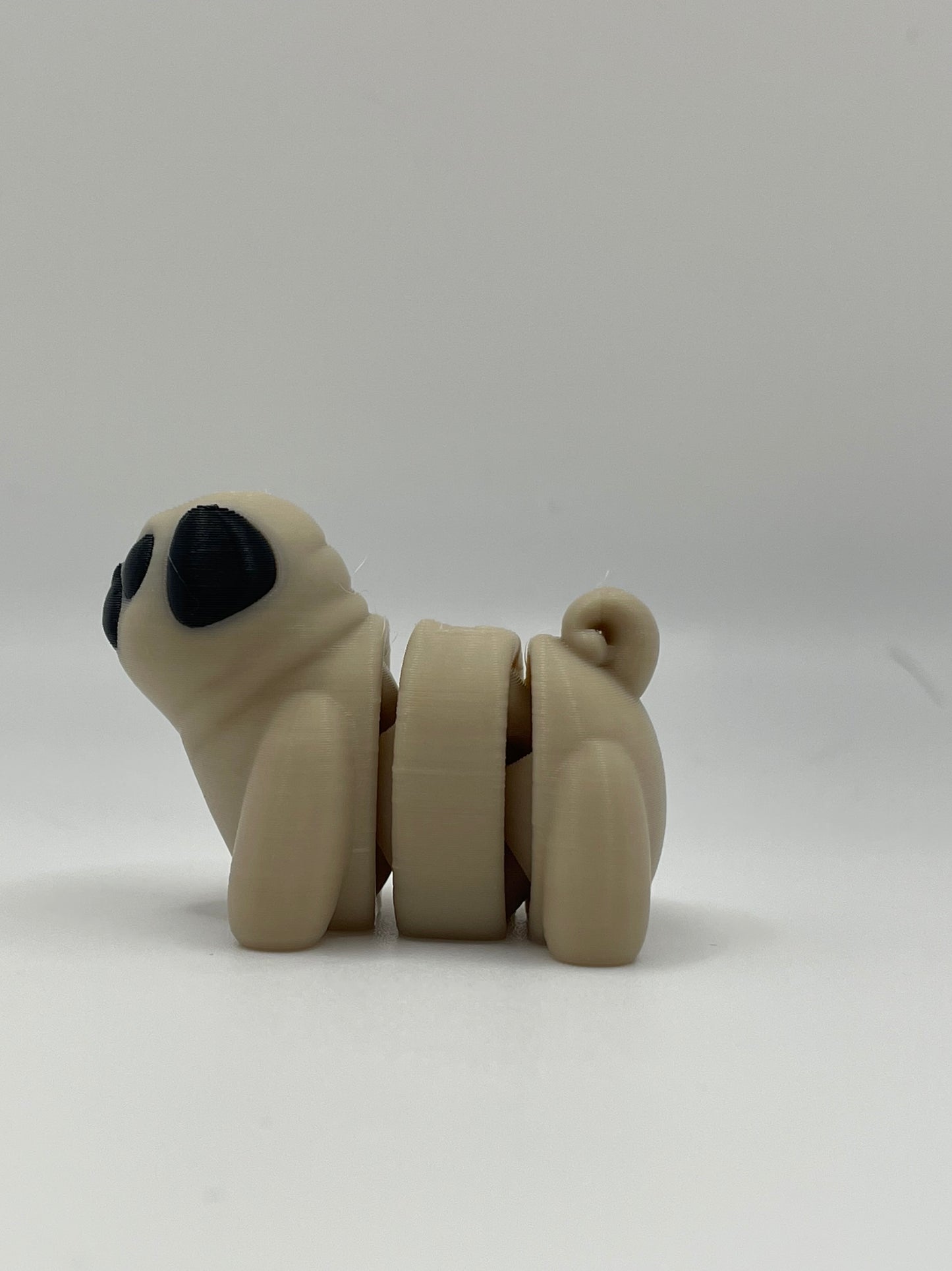 Baby Pug