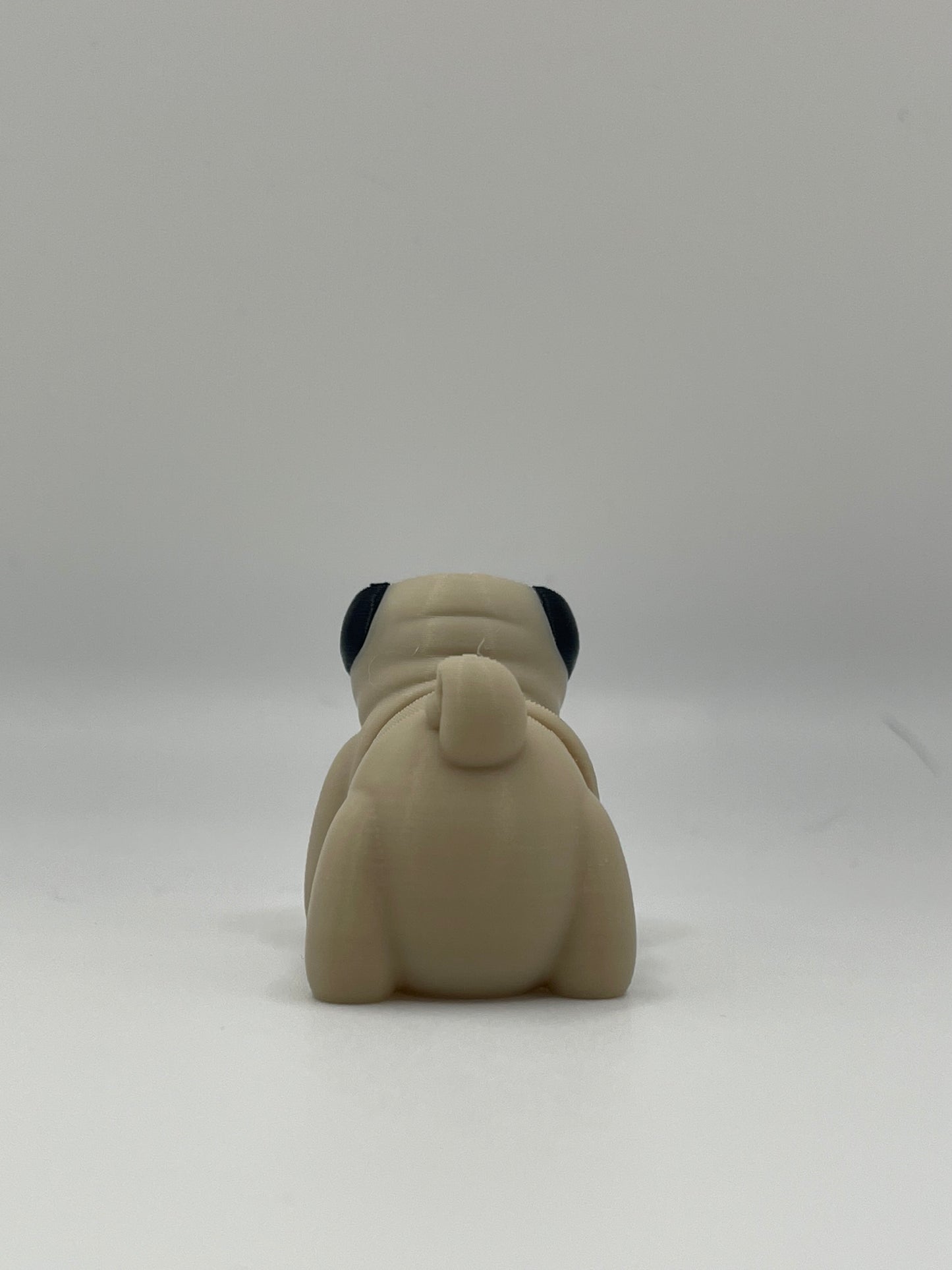 Baby Pug