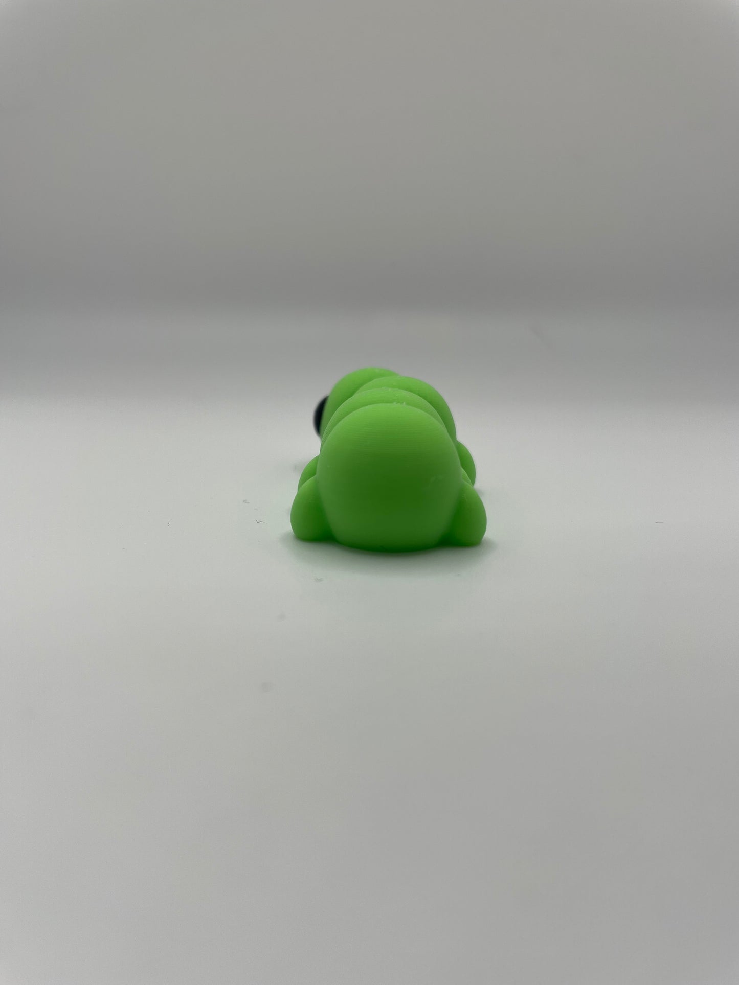 Baby caterpillar