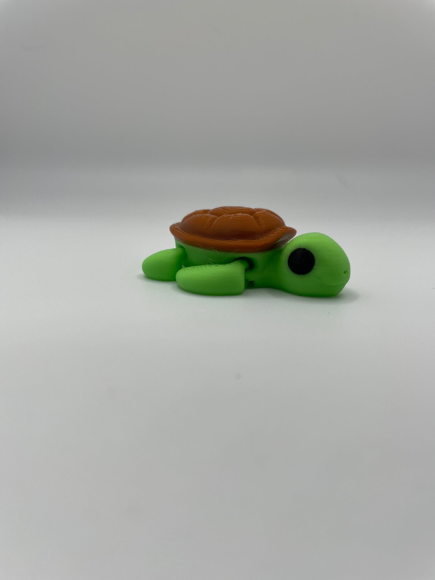 Baby Turtle