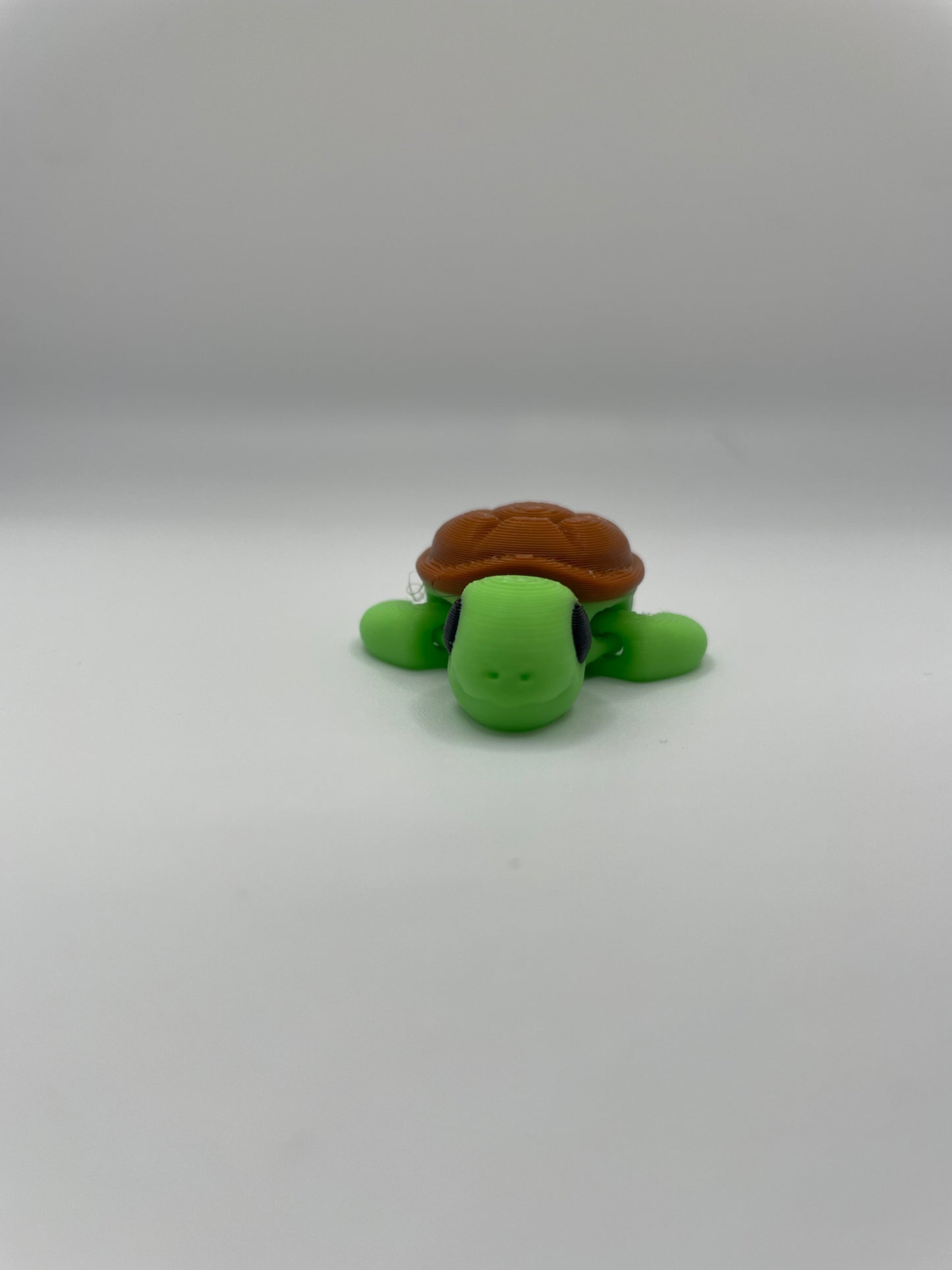 Baby Turtle