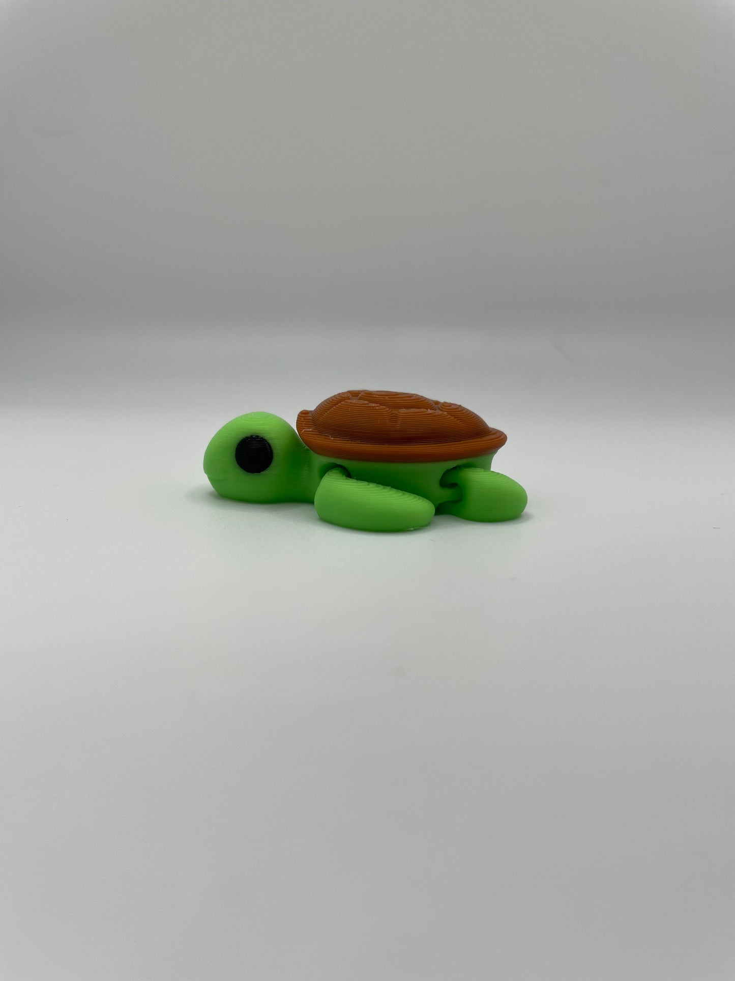 Baby Turtle
