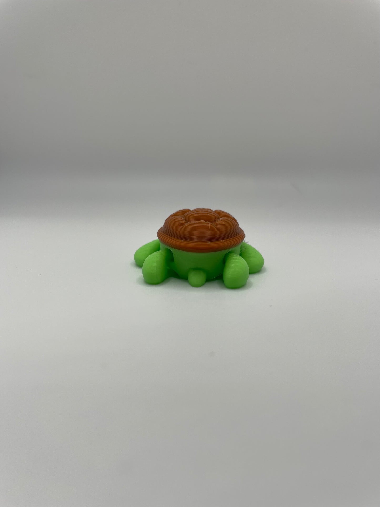 Baby Turtle