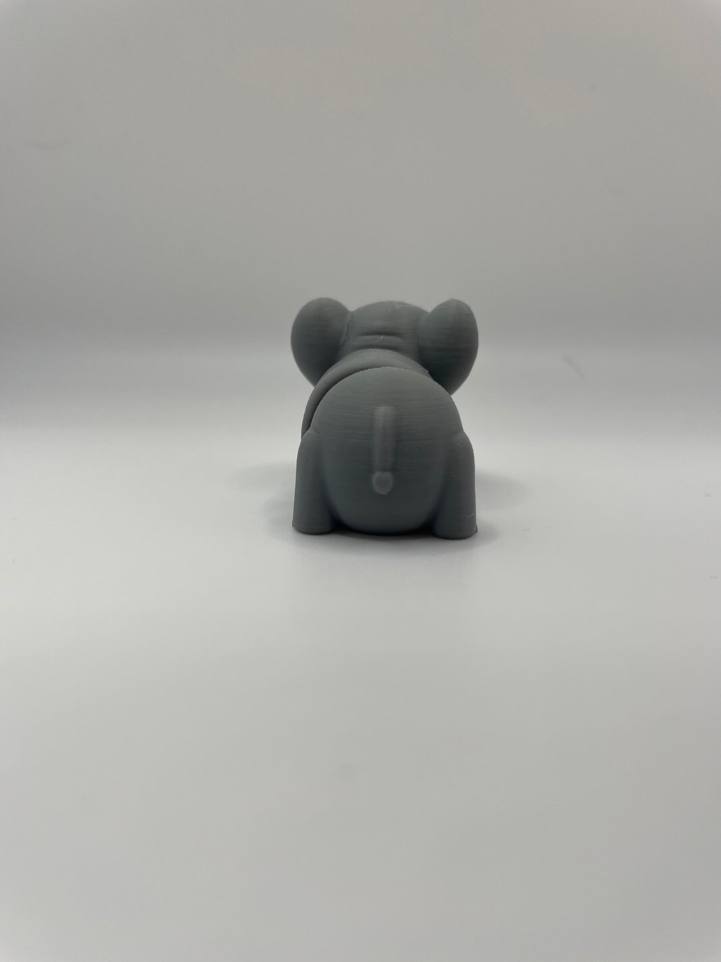 Baby Elephant