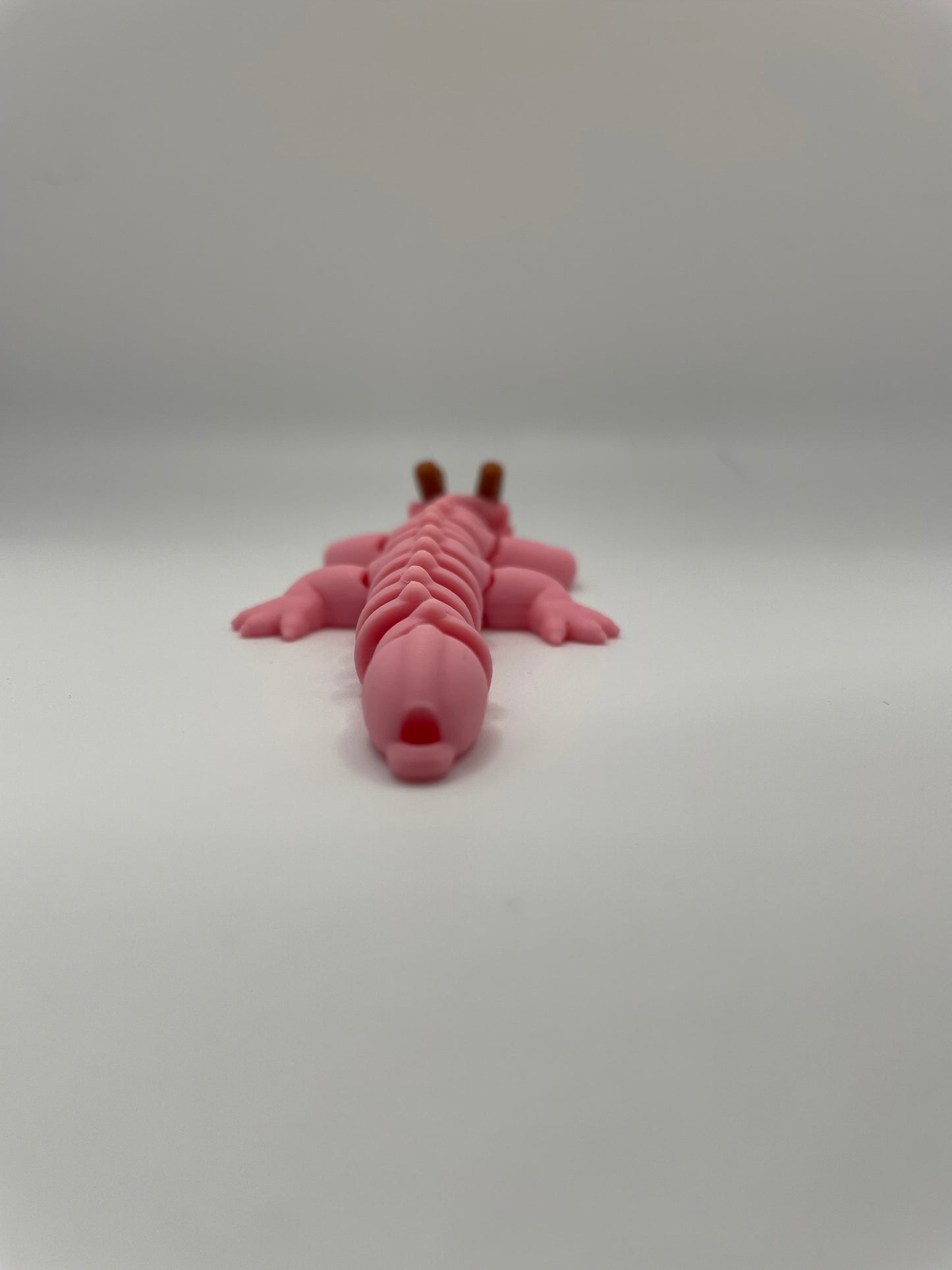 Zou Mini Dragon