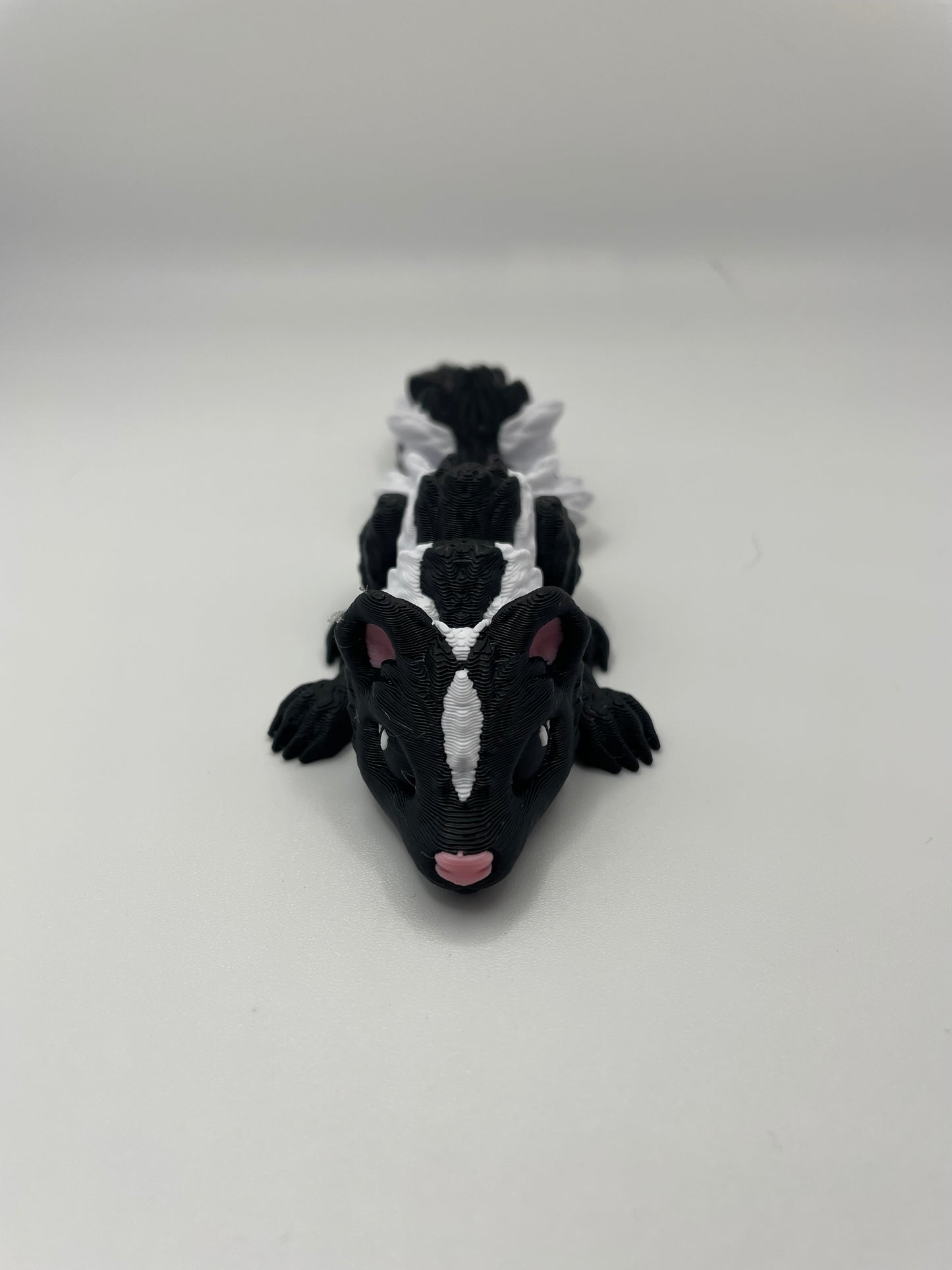 Baby Skunk