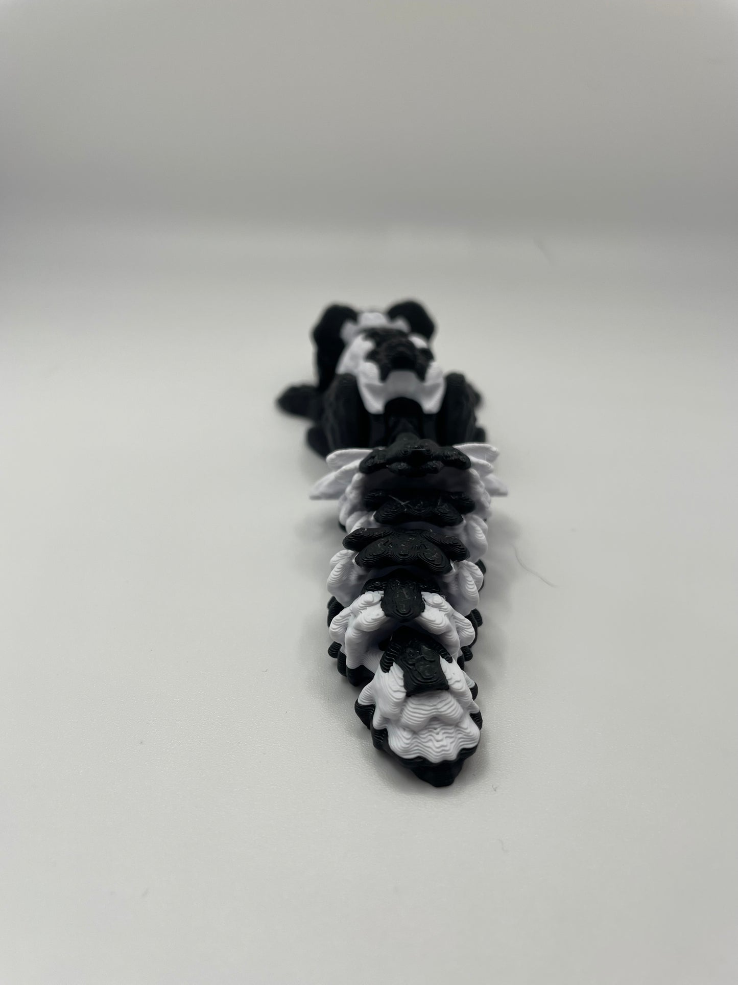 Baby Skunk
