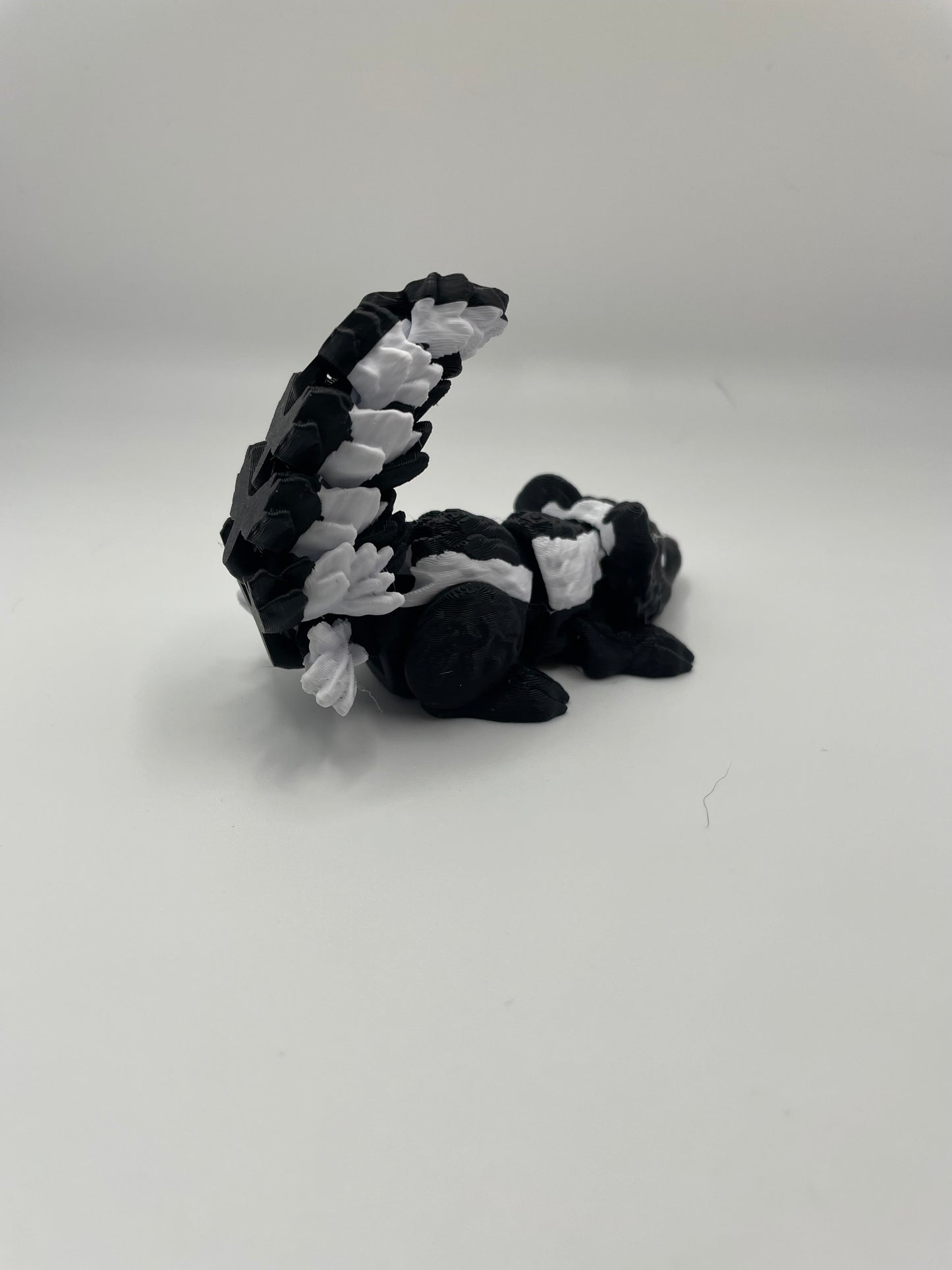 Baby Skunk