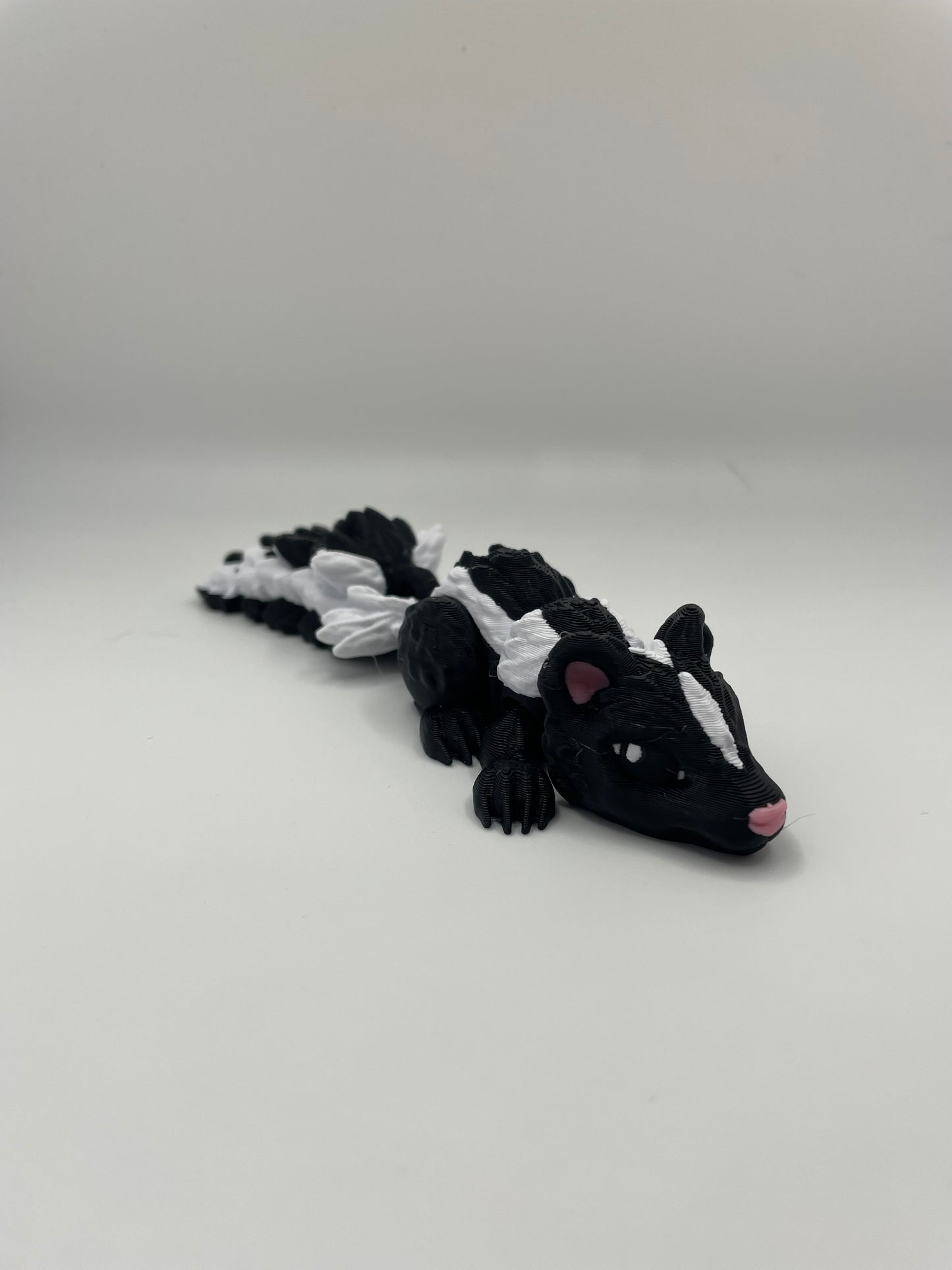 Baby Skunk