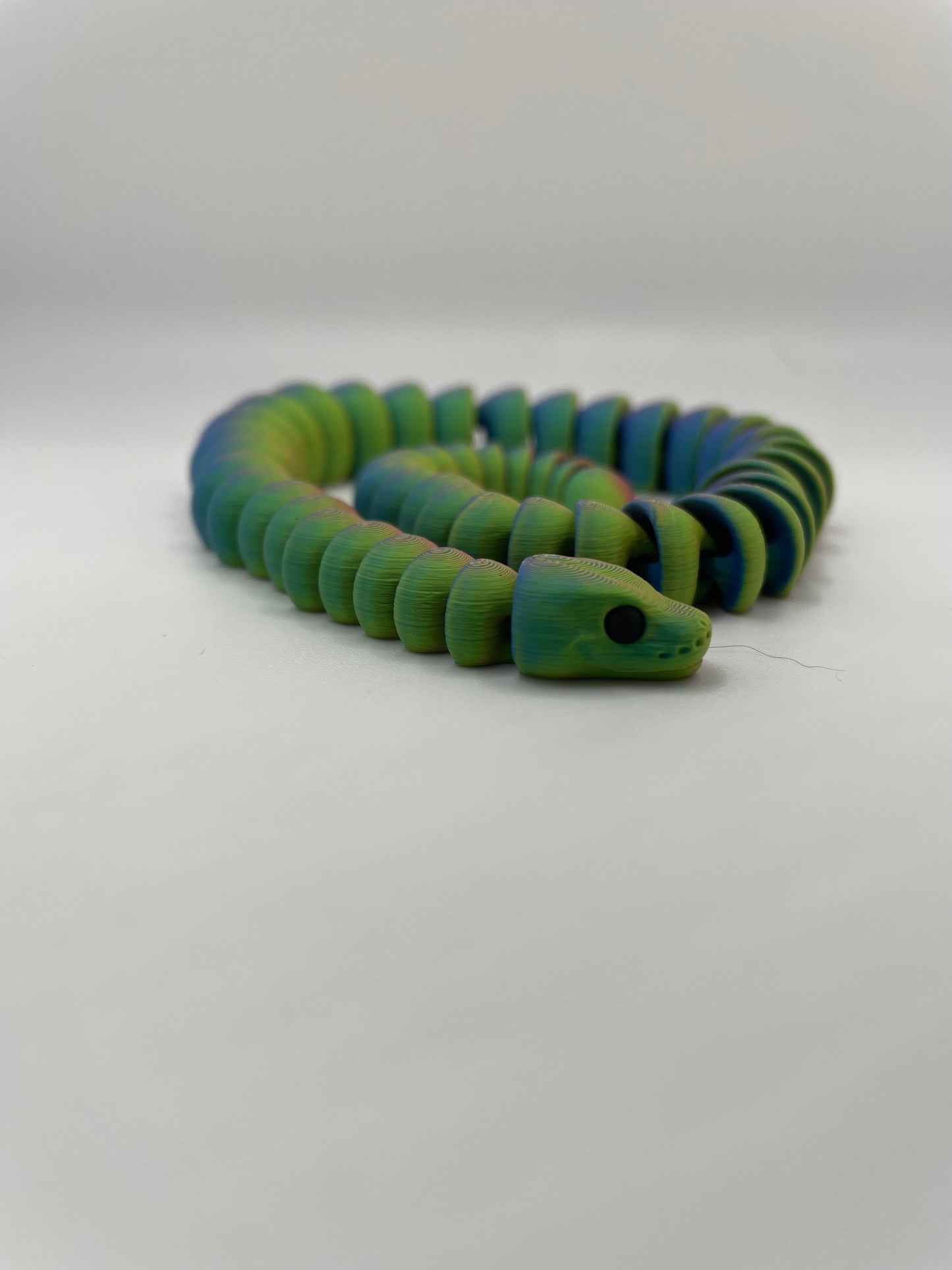 Baby Ball Python Snake