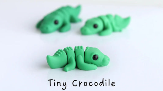 Baby Crocodile