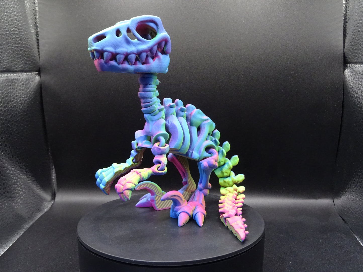 Large Skeleton Velociraptor Raptor 3D Printed Articulating Flexi Fidget display collection