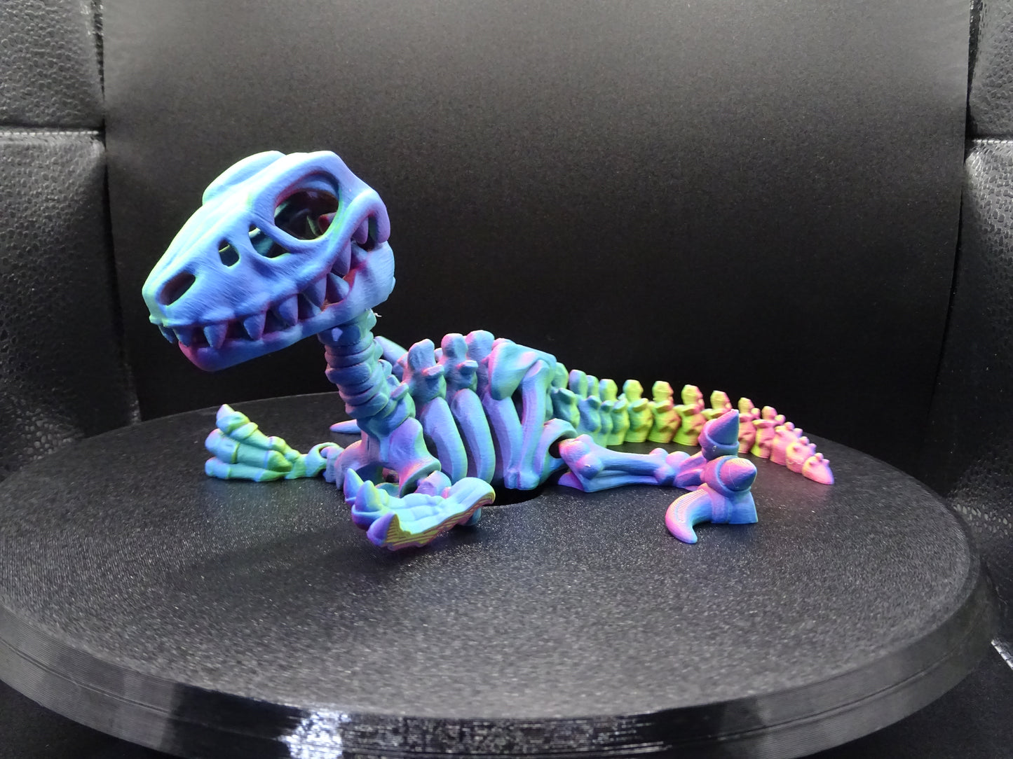 Large Skeleton Velociraptor Raptor 3D Printed Articulating Flexi Fidget display collection