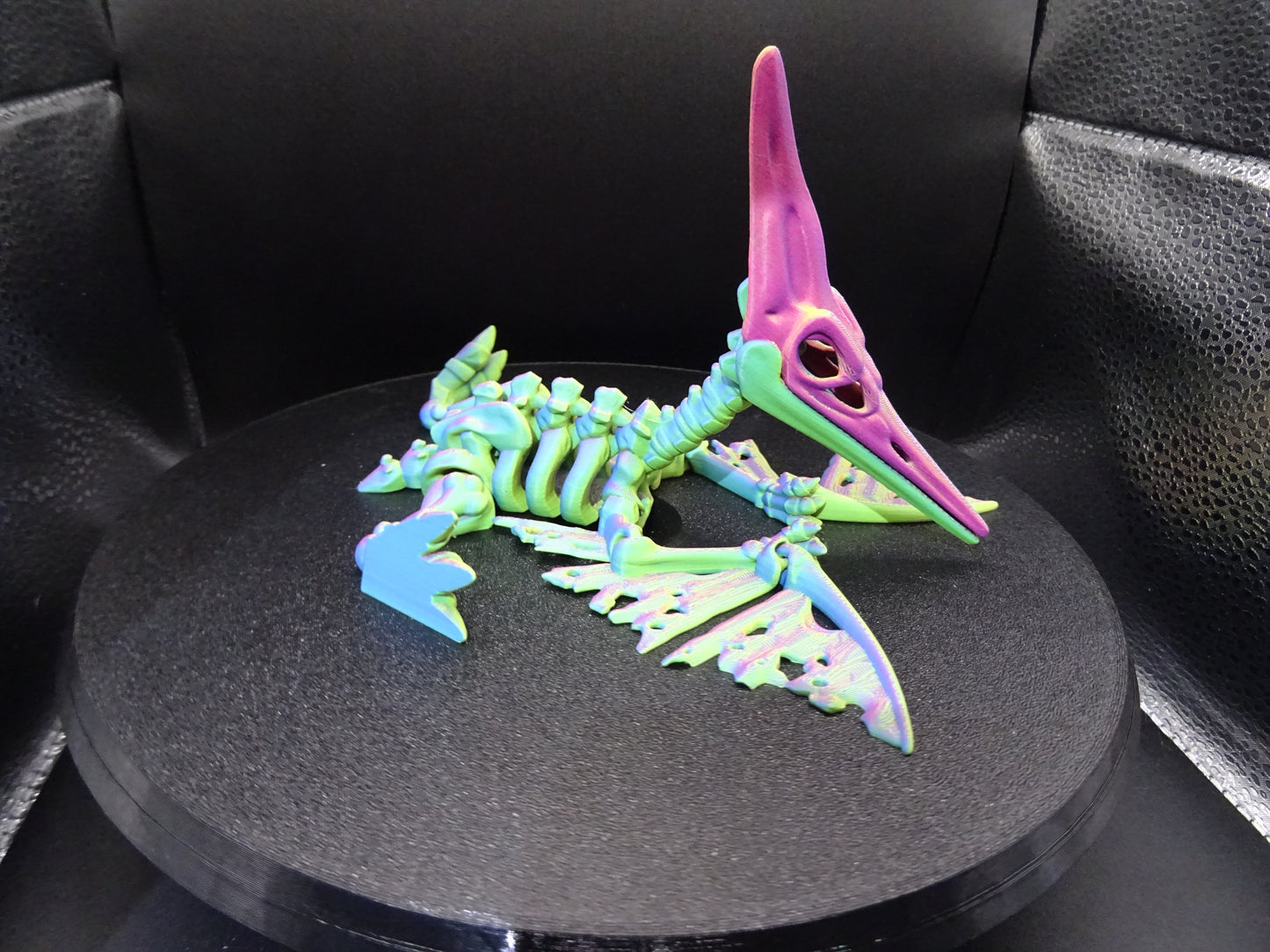 Skeleton Pteranodon 3D Printed Articulating Flexi Fidget display collection