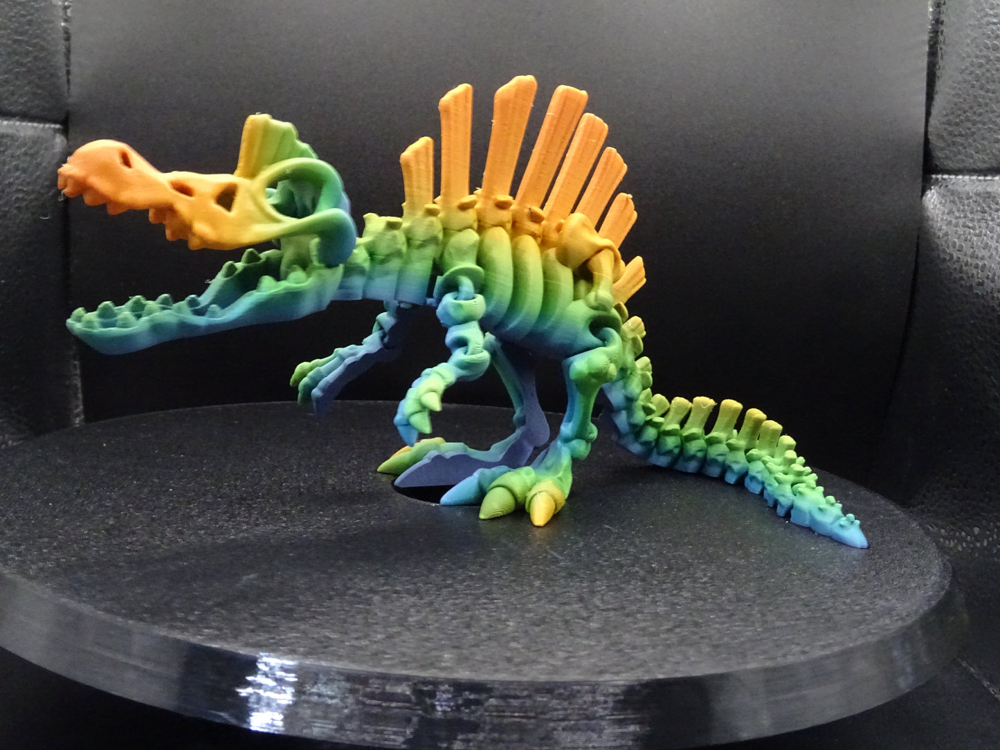 Skeleton Spinosaurus 3D Printed Articulating Flexi Fidget display collection