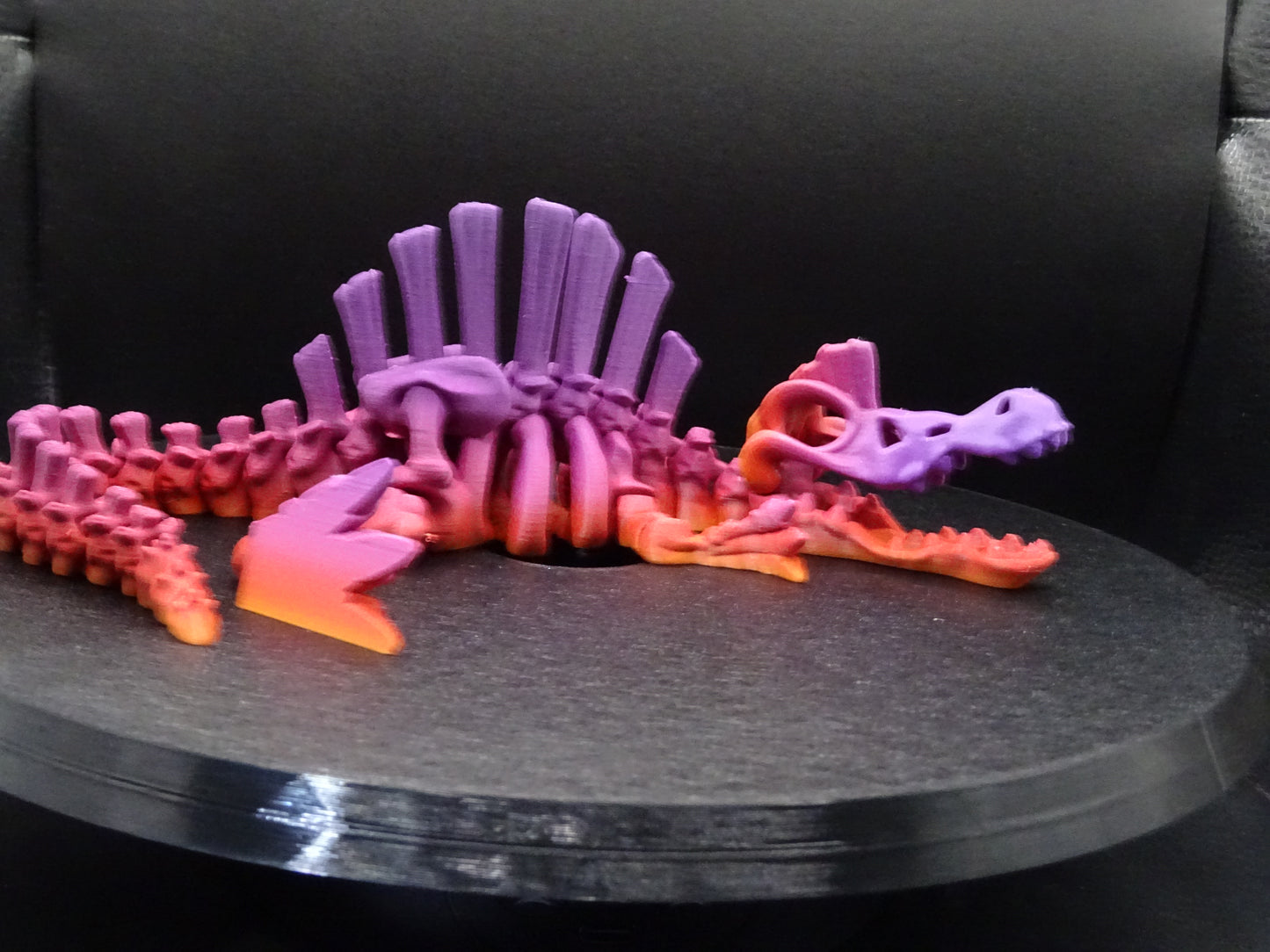 Skeleton Spinosaurus 3D Printed Articulating Flexi Fidget display collection