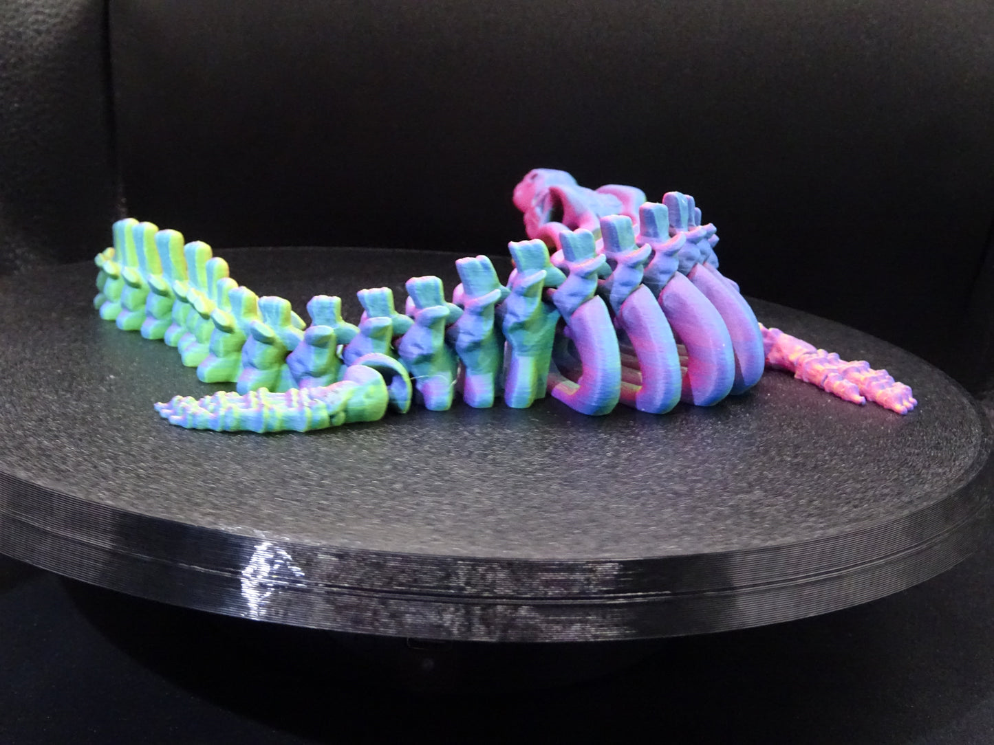 Skeleton Mosasaurus 3D Printed Articulating Flexi Fidget display collection