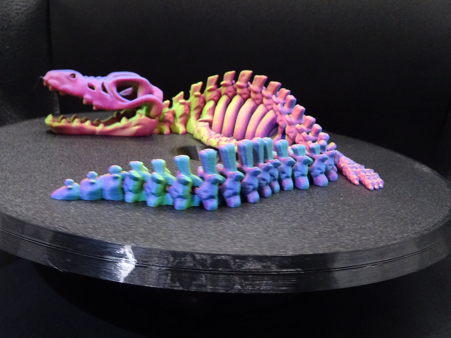 Skeleton Mosasaurus 3D Printed Articulating Flexi Fidget display collection
