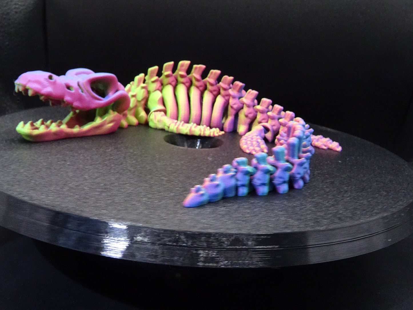 Skeleton Mosasaurus 3D Printed Articulating Flexi Fidget display collection